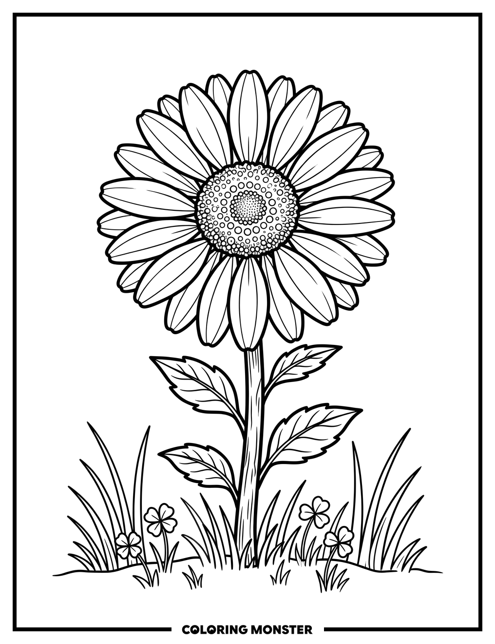 A Lone Daisy in a Field