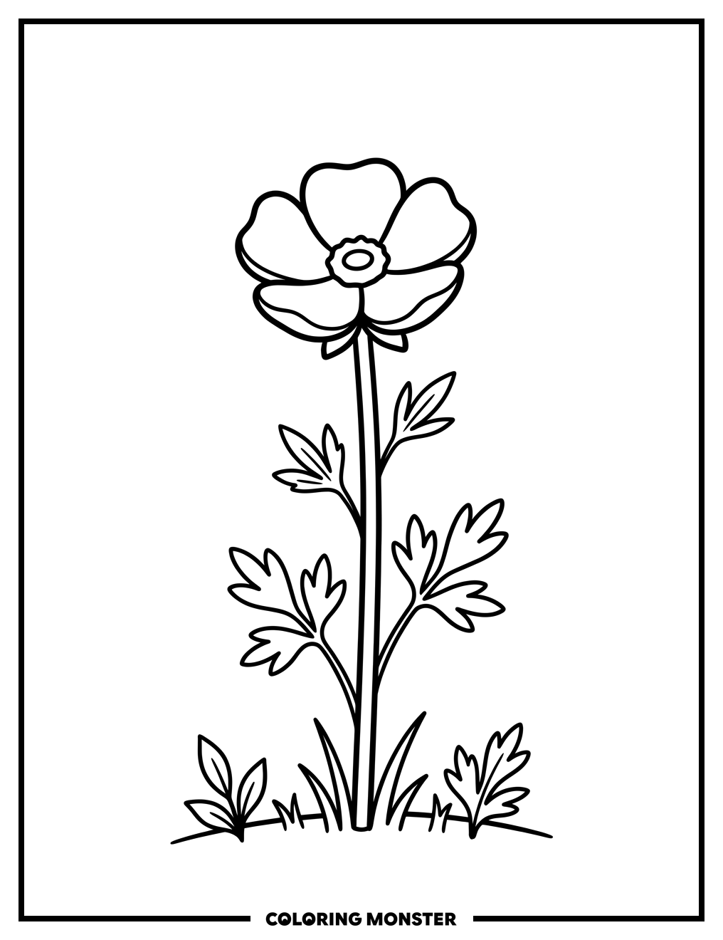 A Single Buttercup Flower Coloring Page