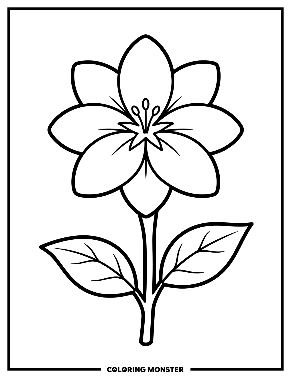 A Single Jasmine Flower Coloring Page