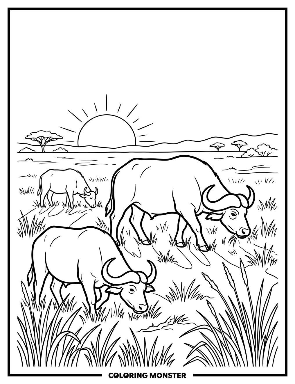 African Buffalo Grazing at Sunset Coloring Page