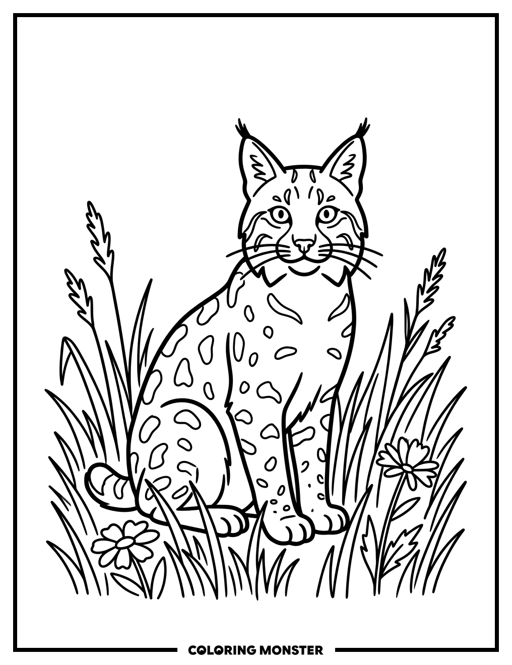 Alert Bobcat in Tall Grass Coloring Page