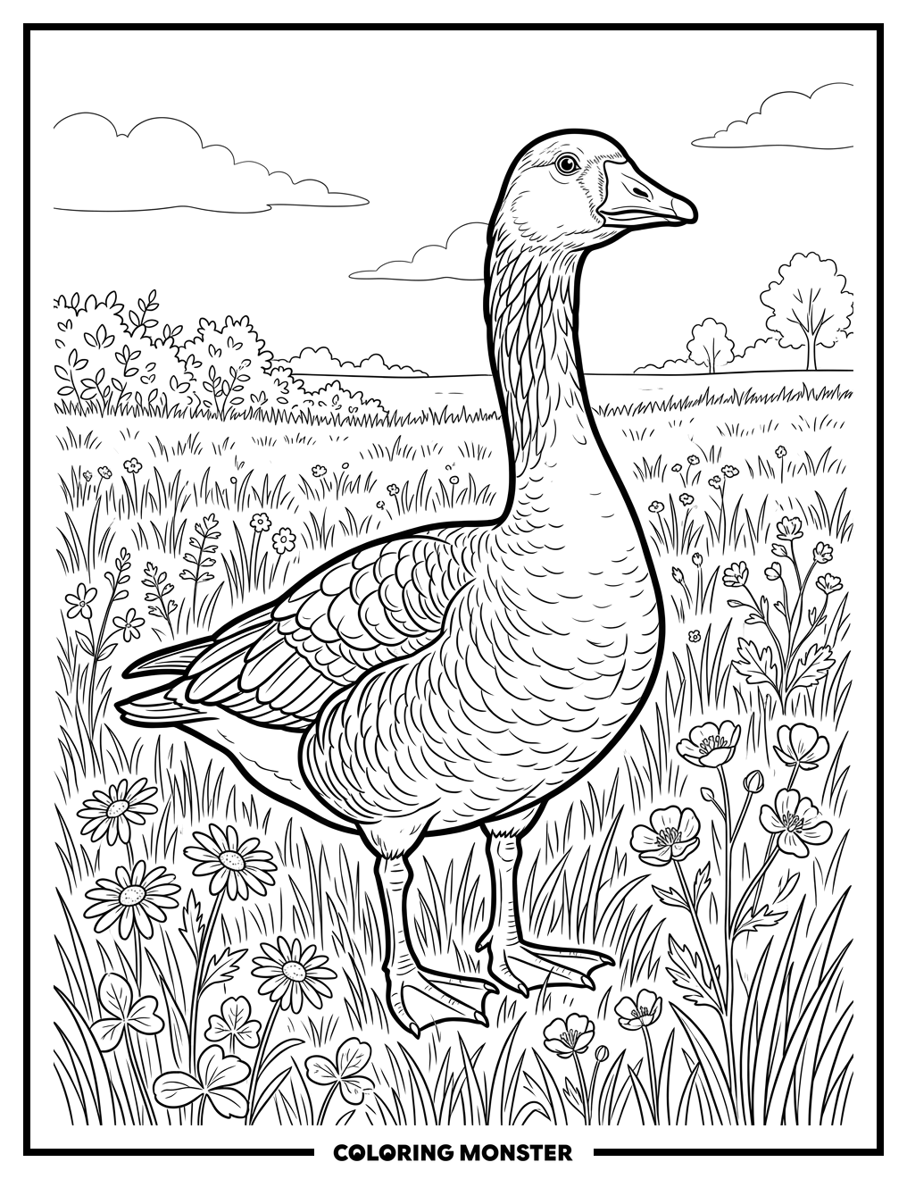 Alert Goose in Grassy Field Coloring Page