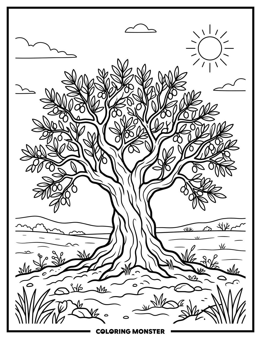 Ancient Olive Tree in Sunlit Field Coloring Page