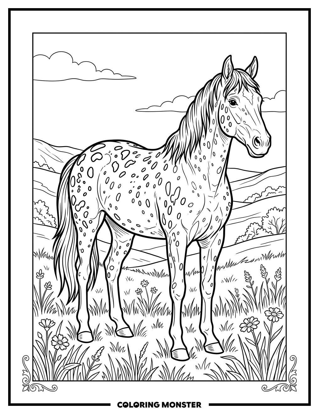 Appaloosa Horse in Grassy Field Coloring Page