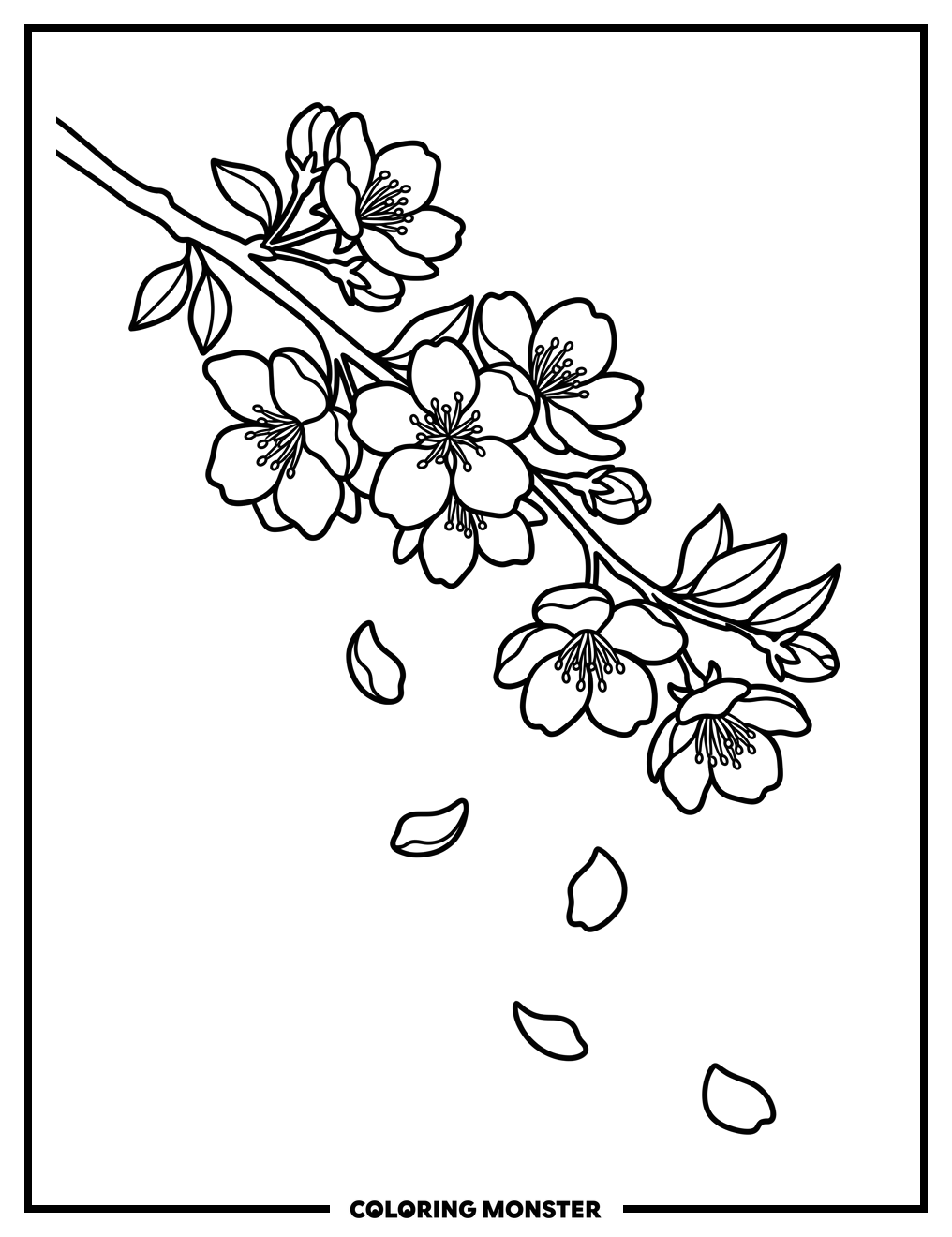 Apple Blossom Branch Coloring Page