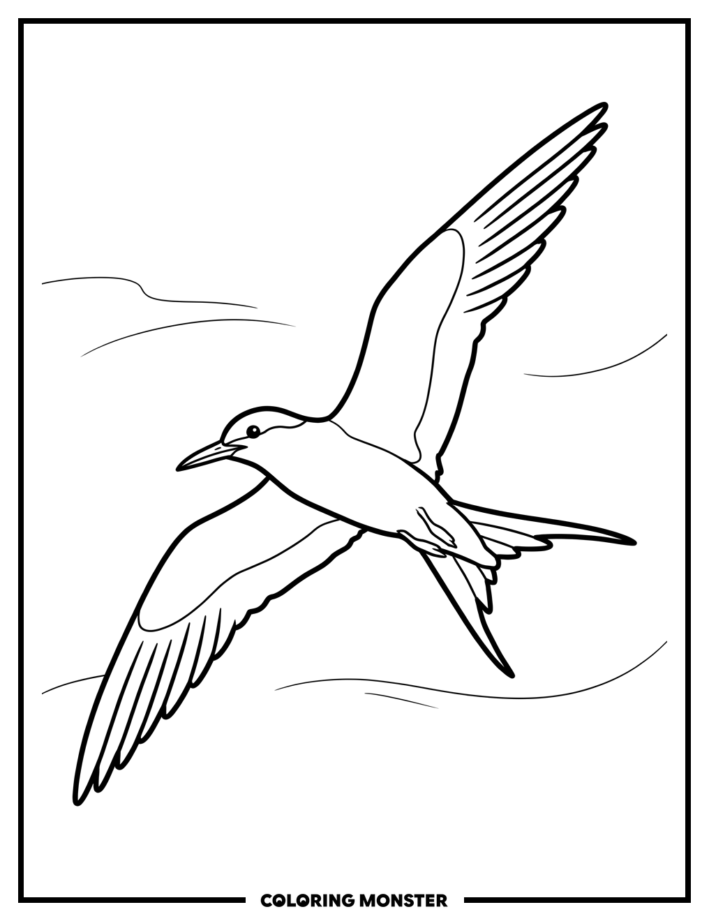 Arctic Tern in Flight Coloring Page