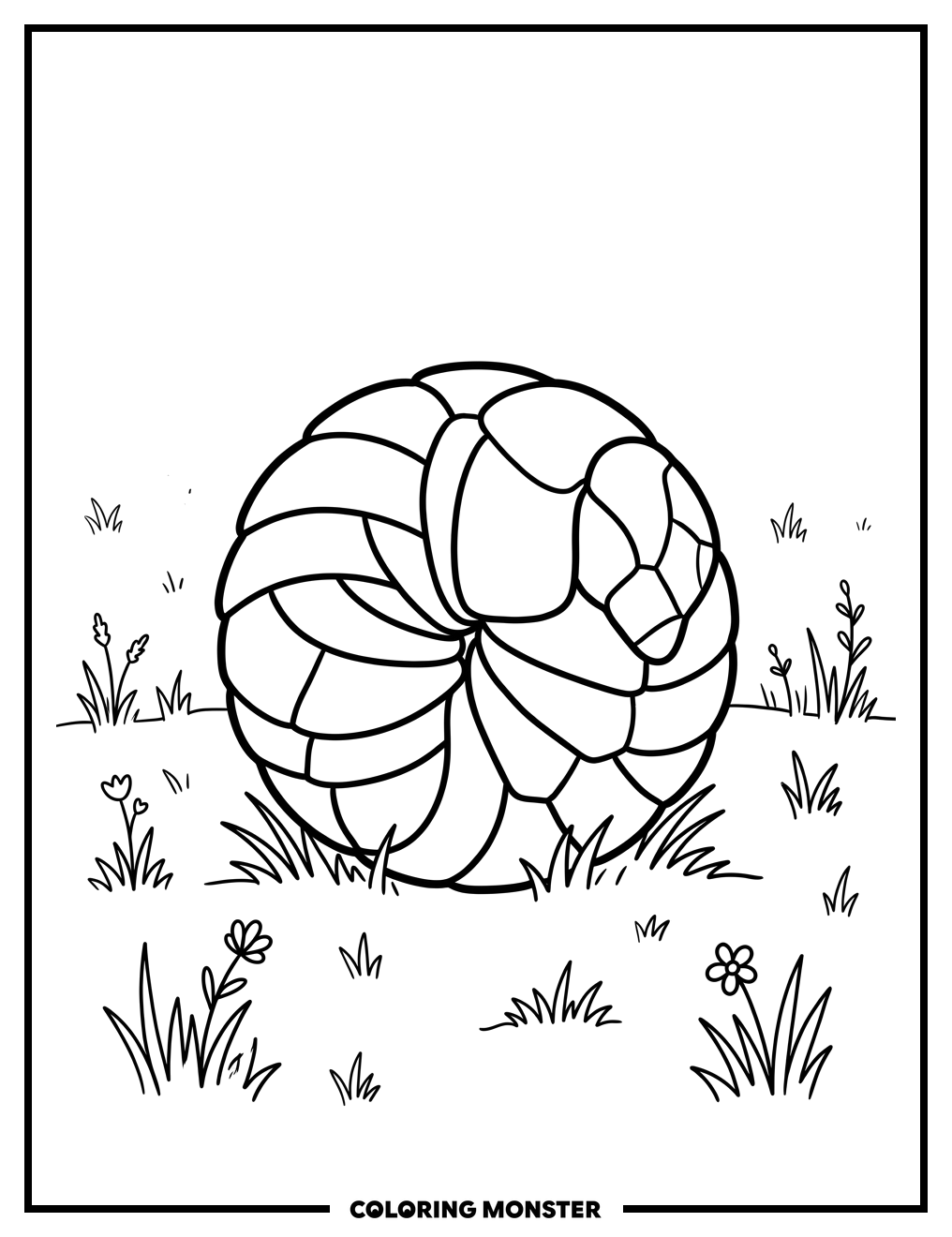 Armadillo Curled in a Ball Coloring Page