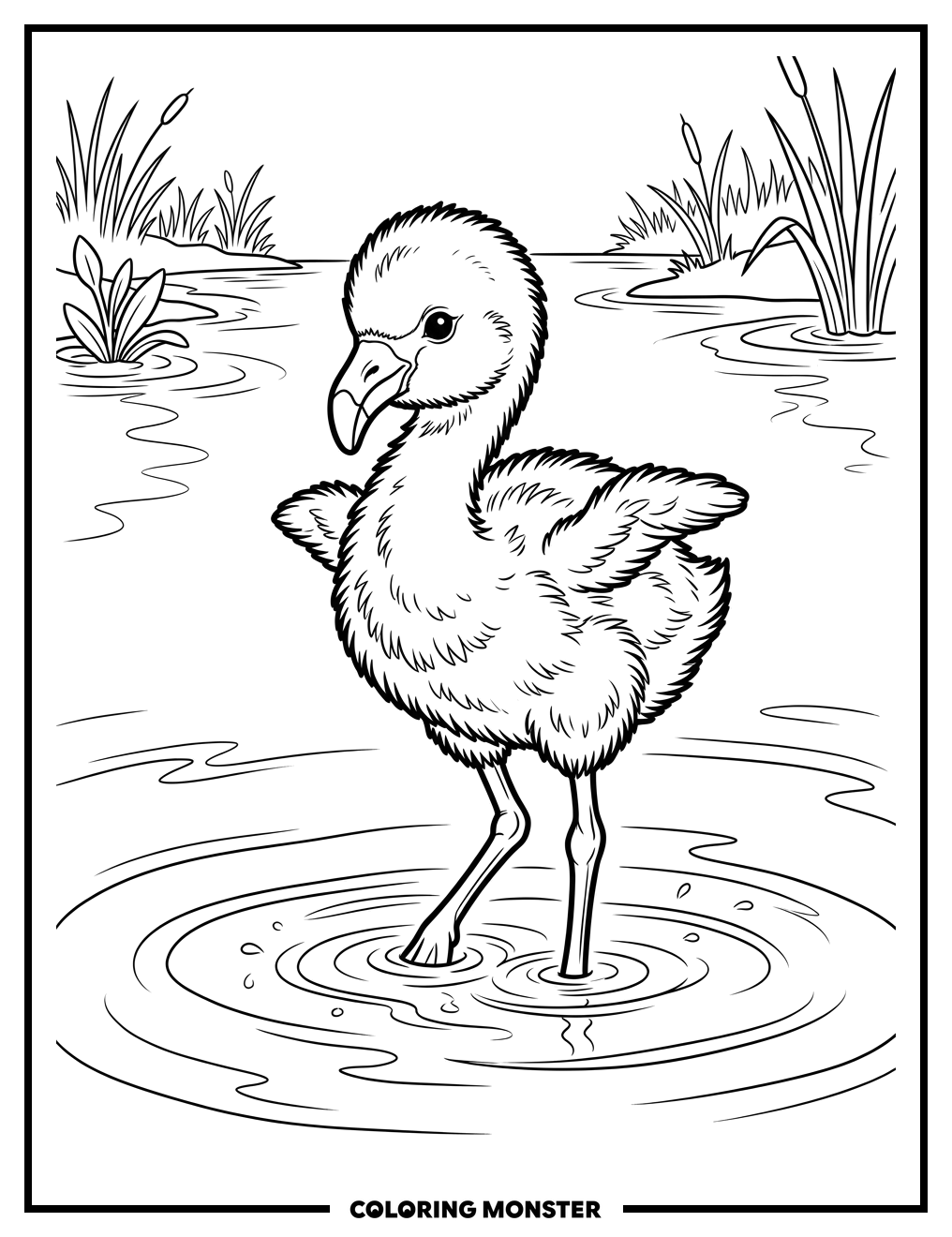 Baby Flamingo Learning To Stand Coloring Page