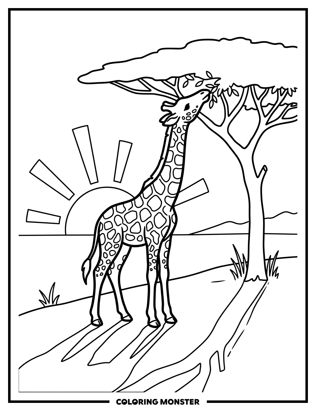Baby Giraffe Reaching for Acacia Leaves Coloring Page