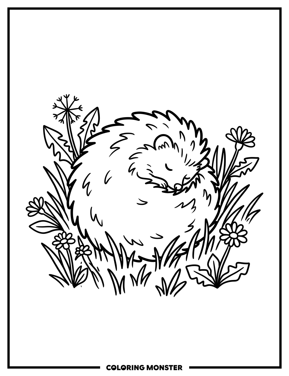 Baby Hedgehog Curled in Grass Coloring Page