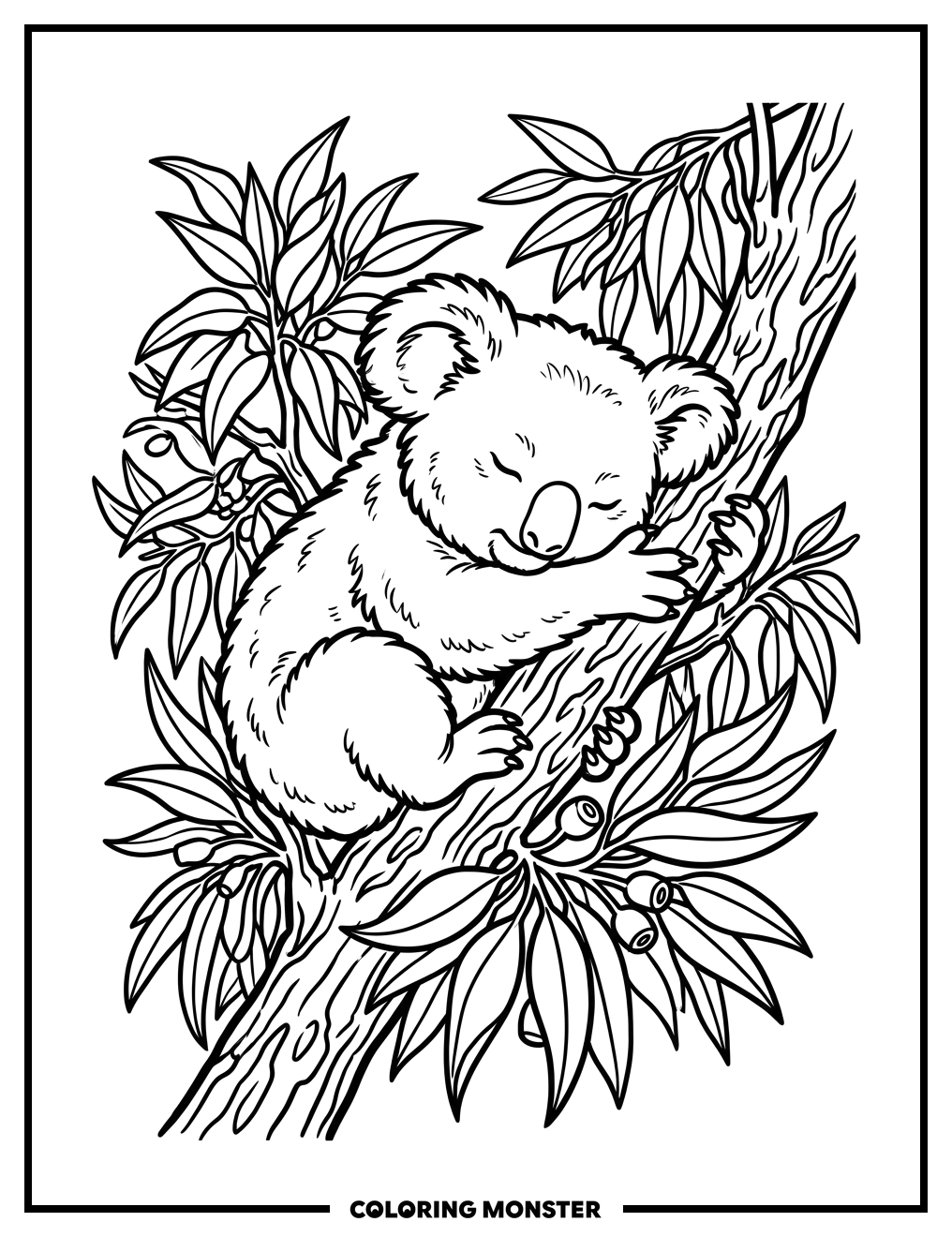 Baby Koala Sleeps On Eucalyptus Branch Coloring Page