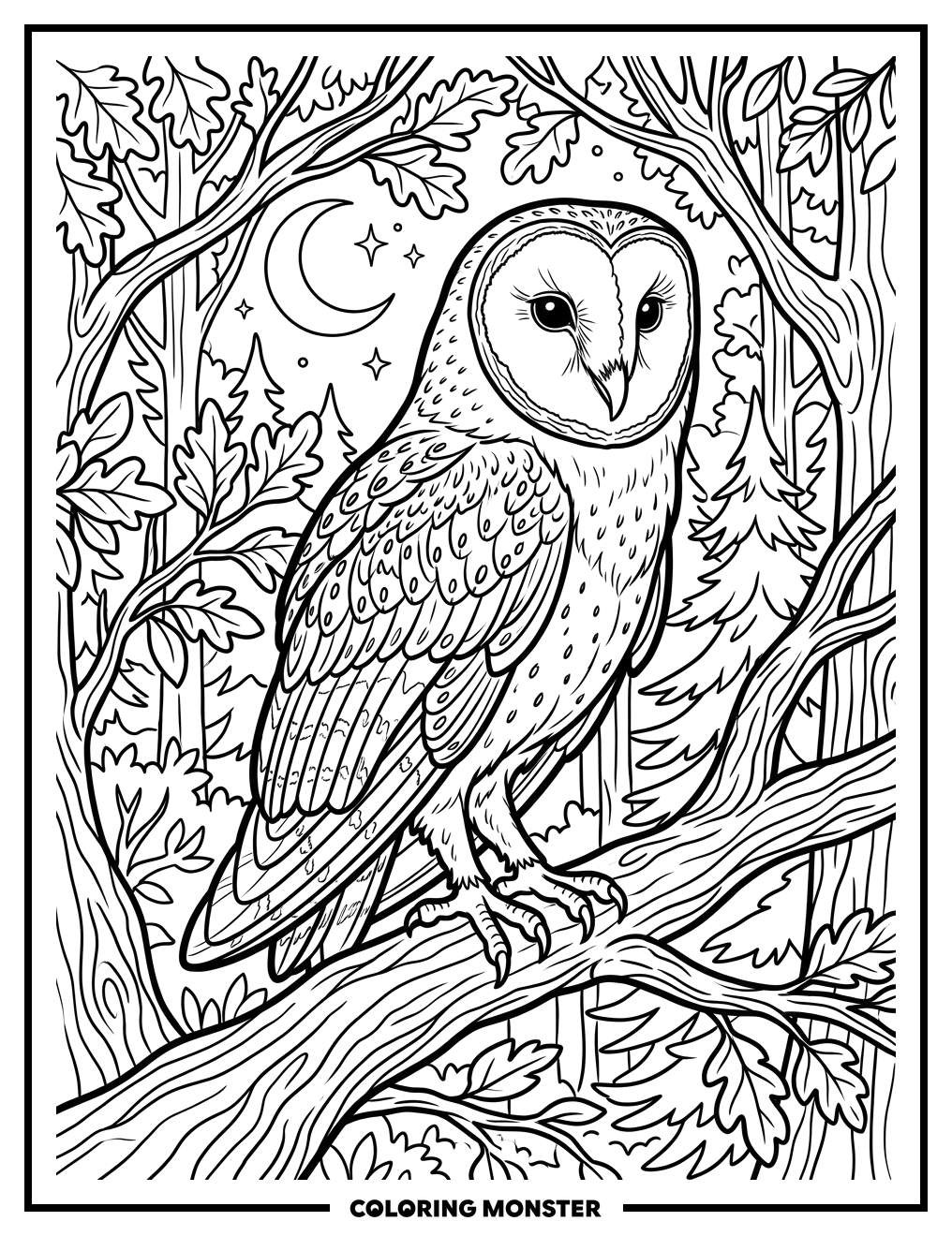 Barn Owl Perched on a Branch Coloring Page