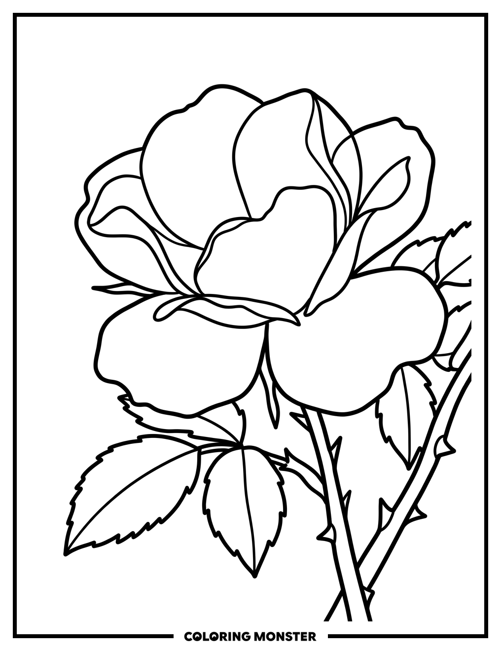 Beach Rose In Bloom Coloring Page