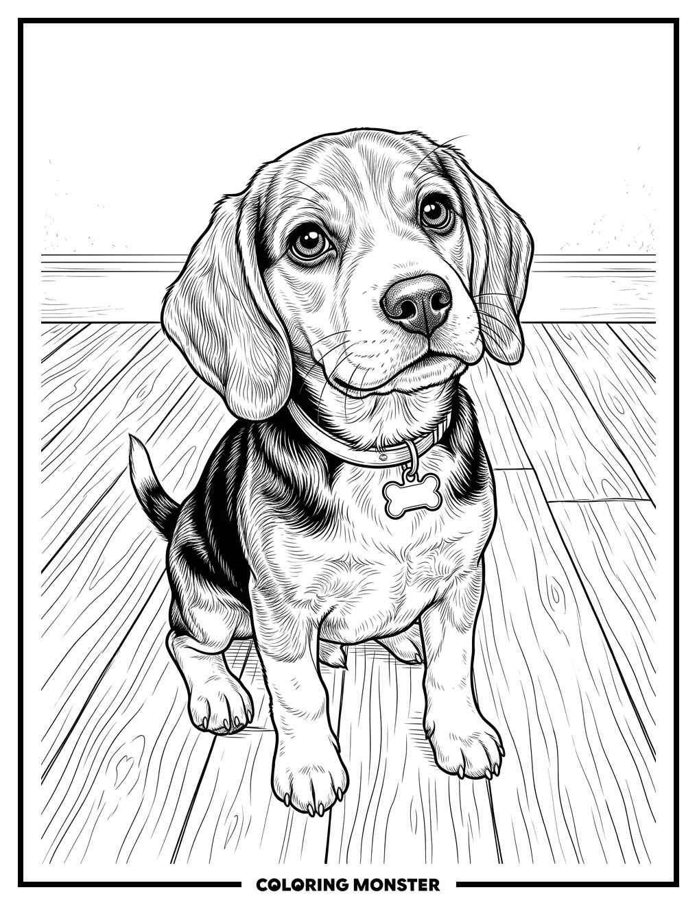 Beagle Puppy Sitting On Floor Coloring Page