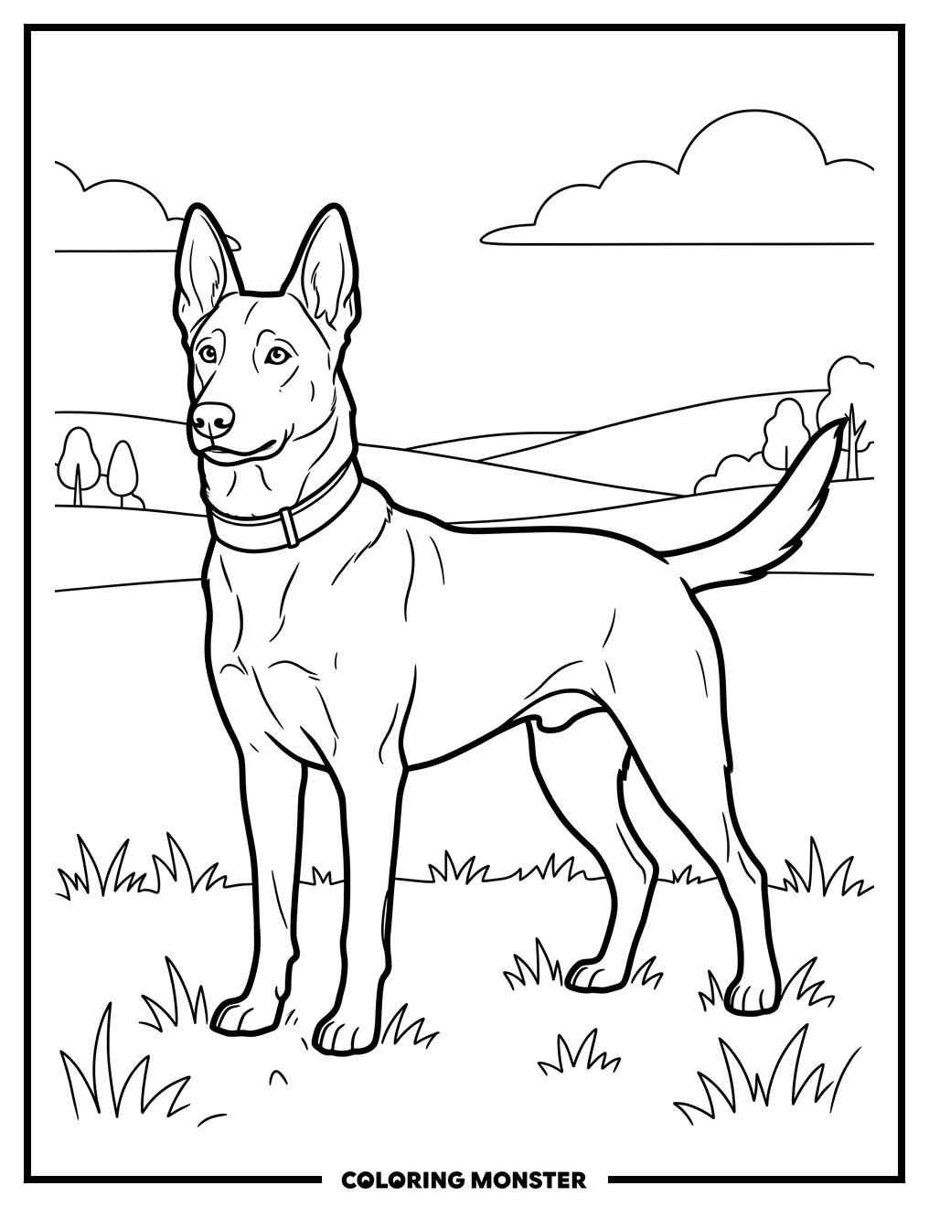 Belgian Malinois in Meadow Coloring Page