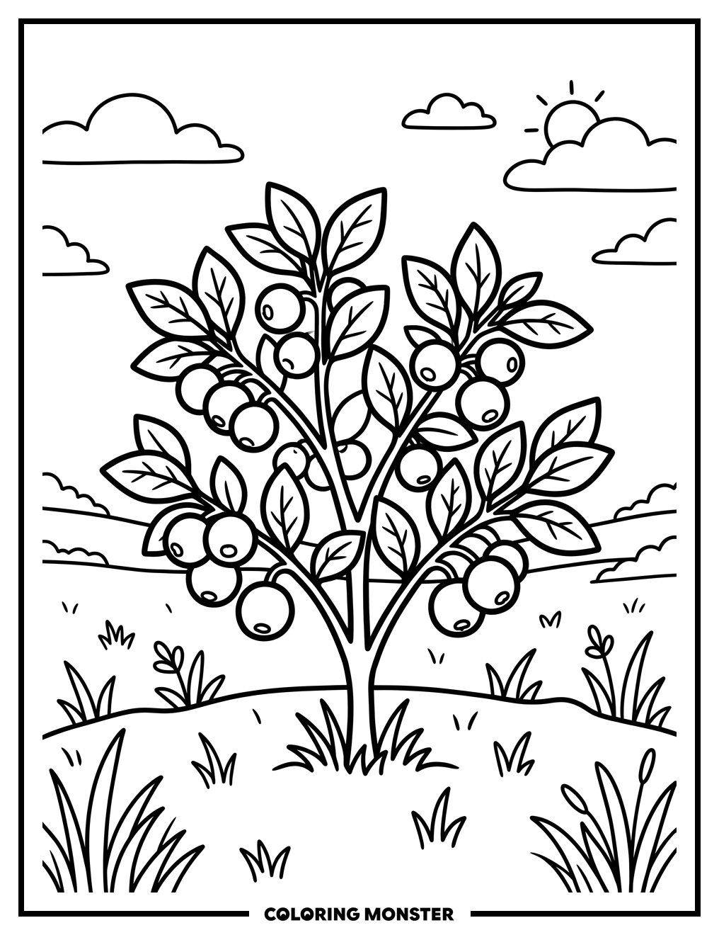Berry Bush in Field Coloring Page