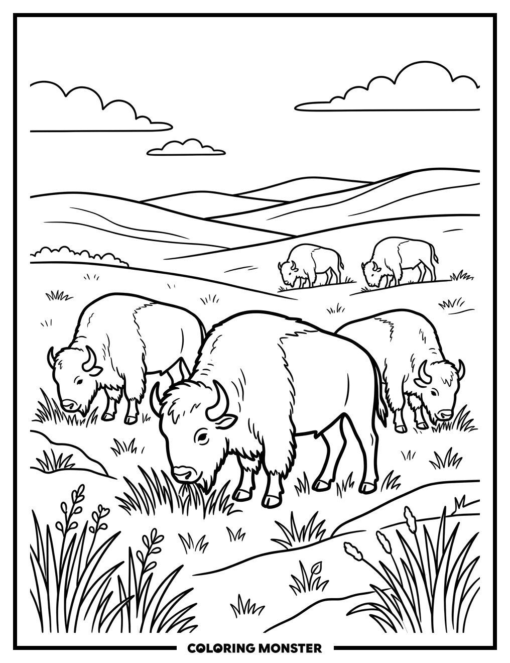 Bison Grazing on Rolling Hills Coloring Page