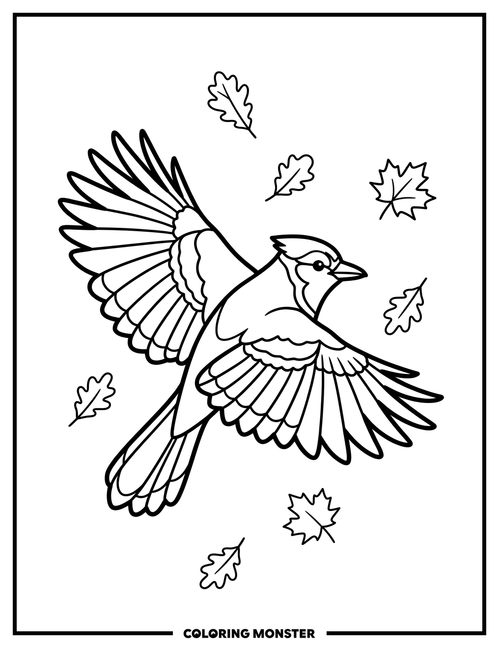 Blue Jay In Flight Coloring Page