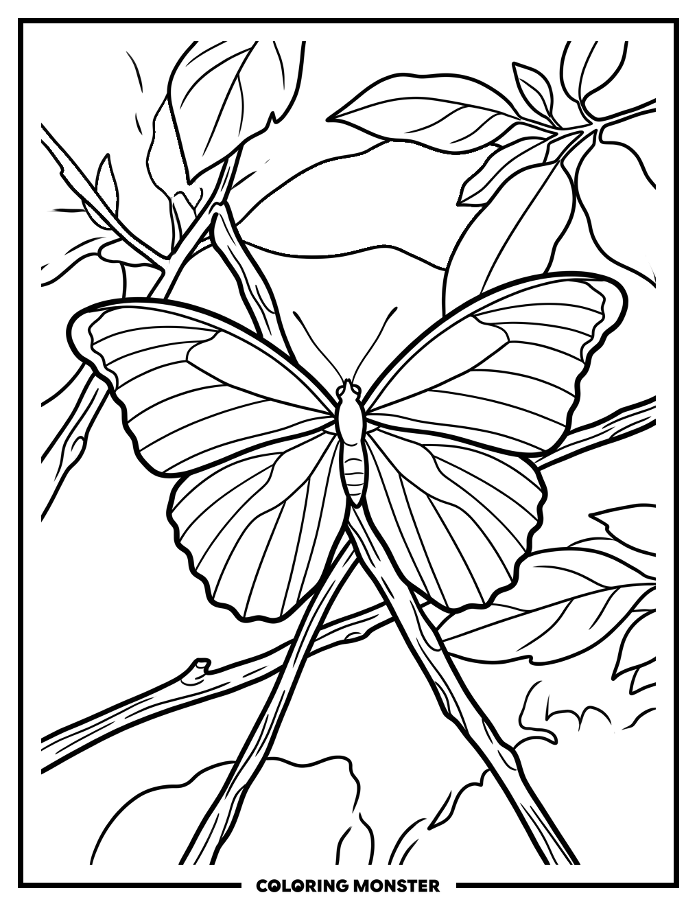 Blue Morpho Butterfly on Branch Coloring Page