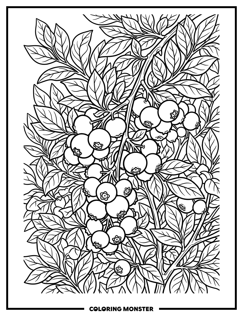 Blueberry Bush With Ripe Berries Coloring Page