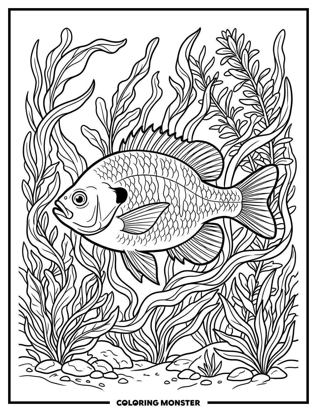 Bluegill Fish in Pond Weeds Coloring Page