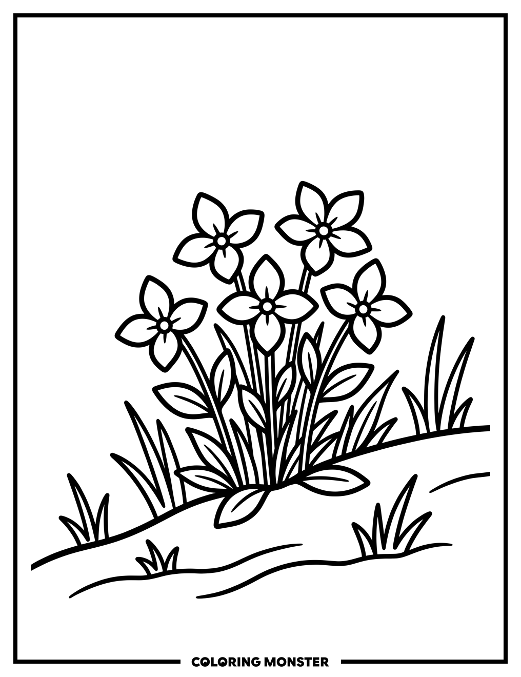 Bluet Flowers in Bloom Coloring Page