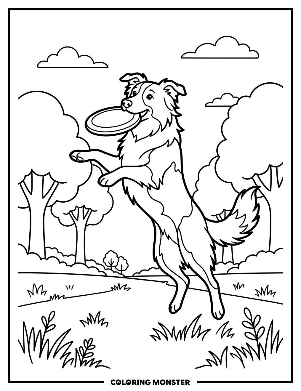 Border Collie Catches Frisbee Coloring Page