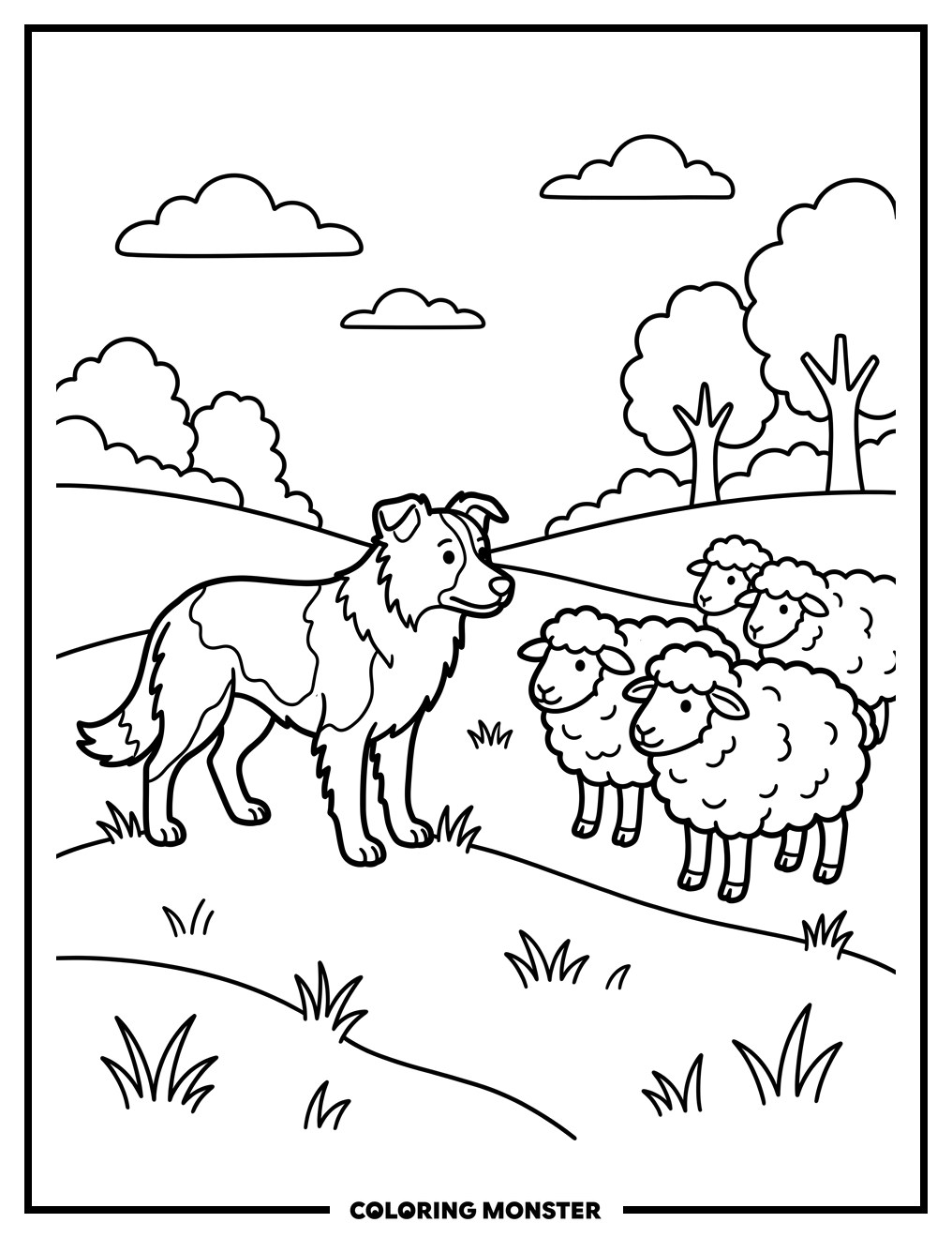 Border Collie Herding Sheep Coloring Page