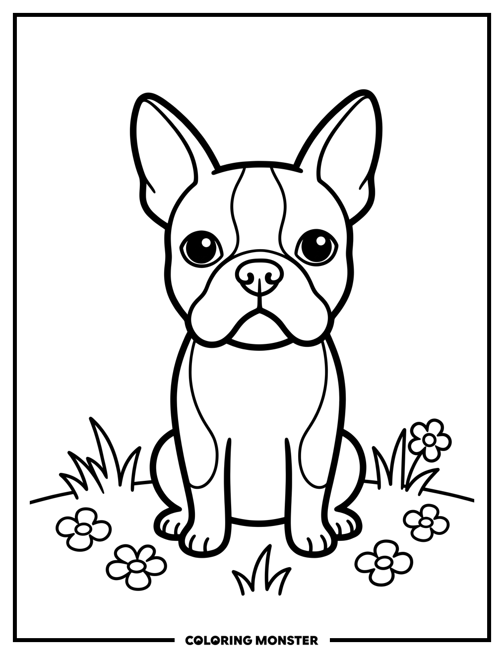 Boston Terrier Sitting in a Field Coloring Page