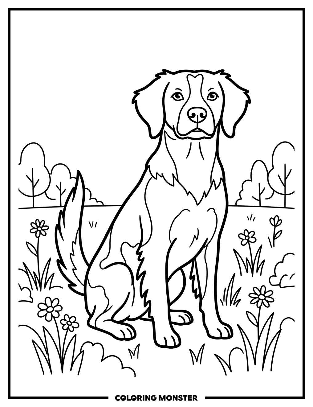 Brittany Spaniel in a Field Coloring Page