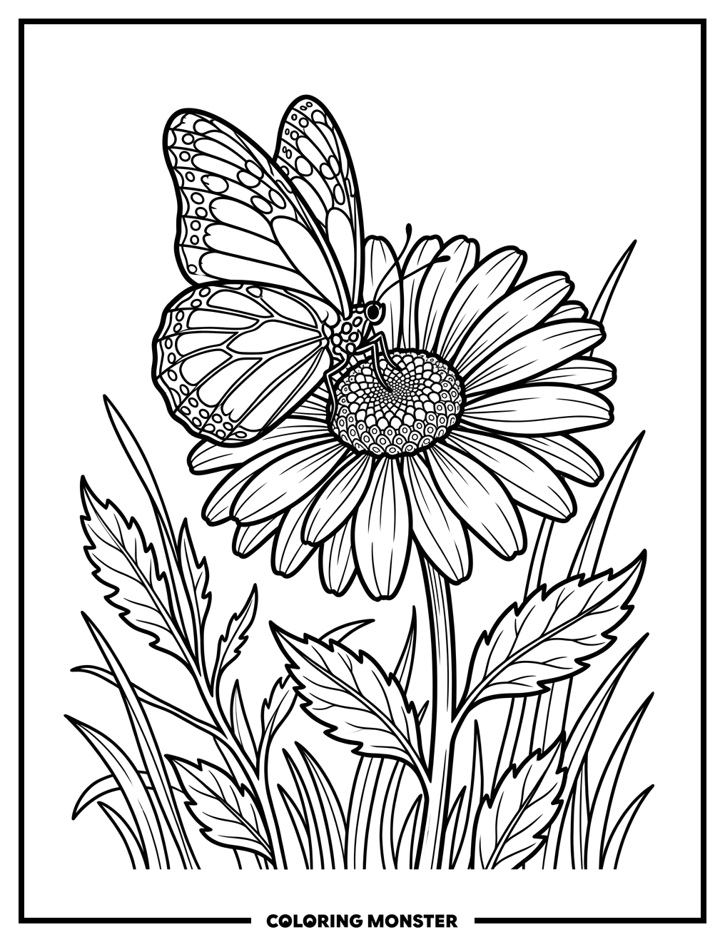 Butterfly on a Daisy Coloring Page
