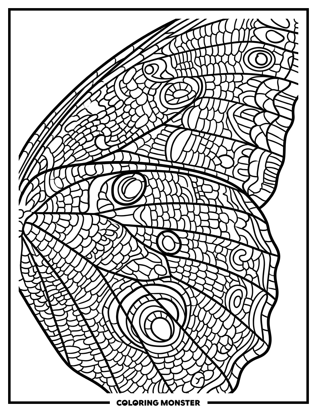 Butterfly Wing Close-Up Coloring Page