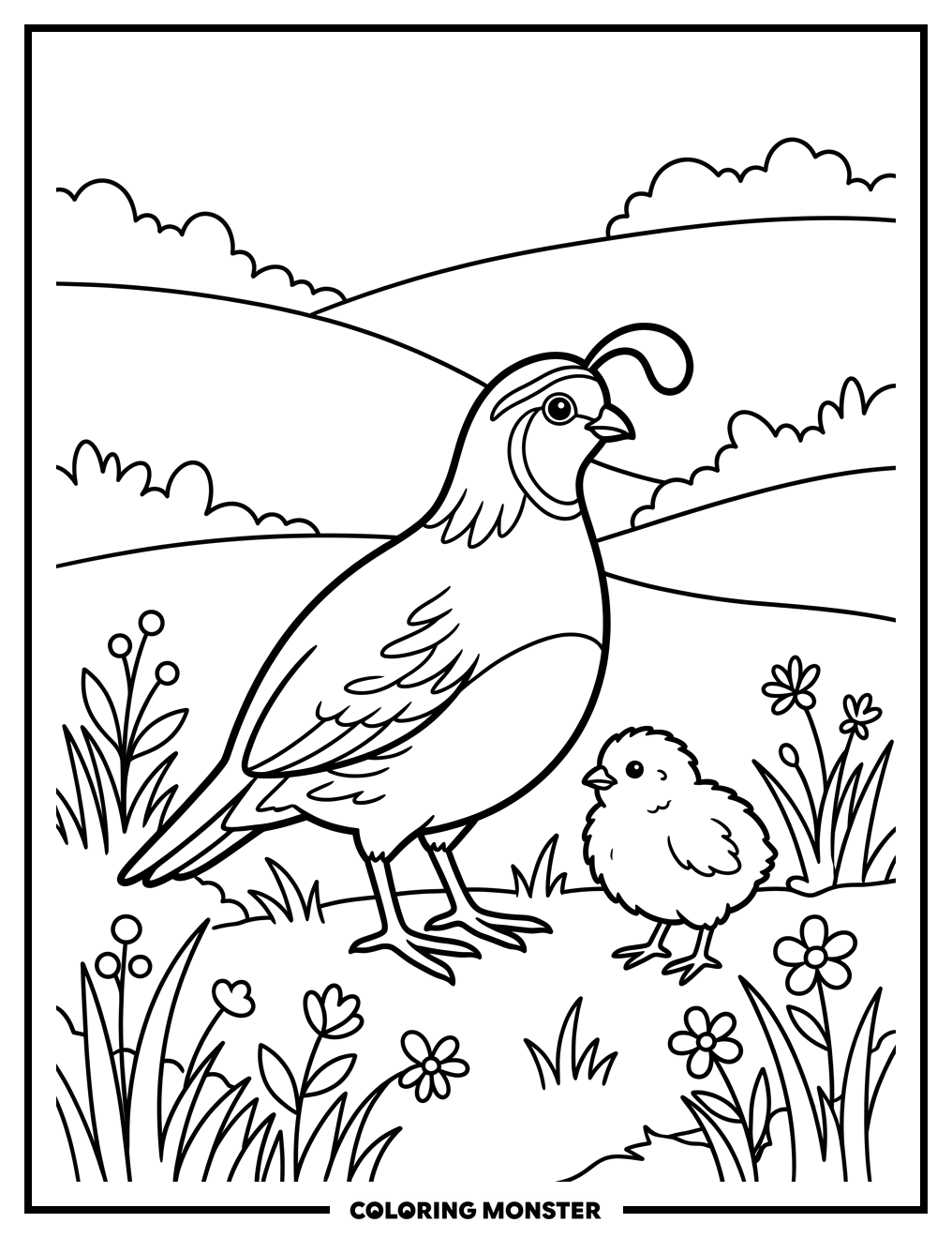 California Quail Family Coloring Page