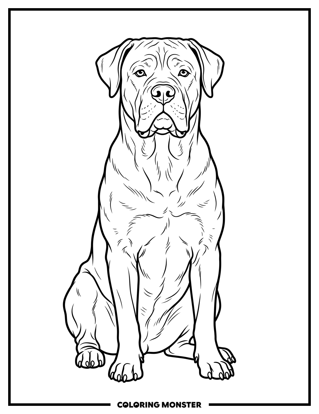Cane Corso Dog Portrait Coloring Page
