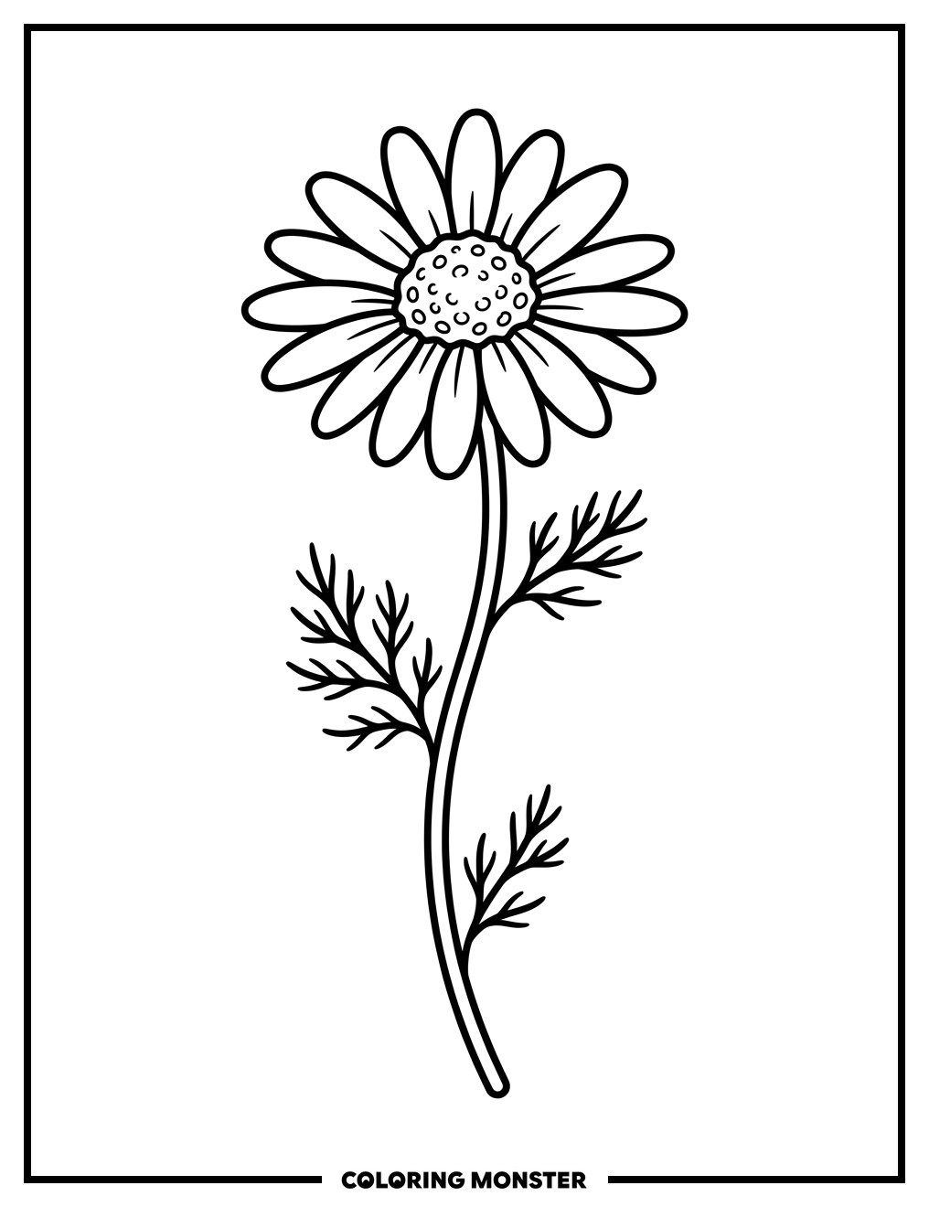 Chamomile Flower With Stem And Leaves Coloring Page