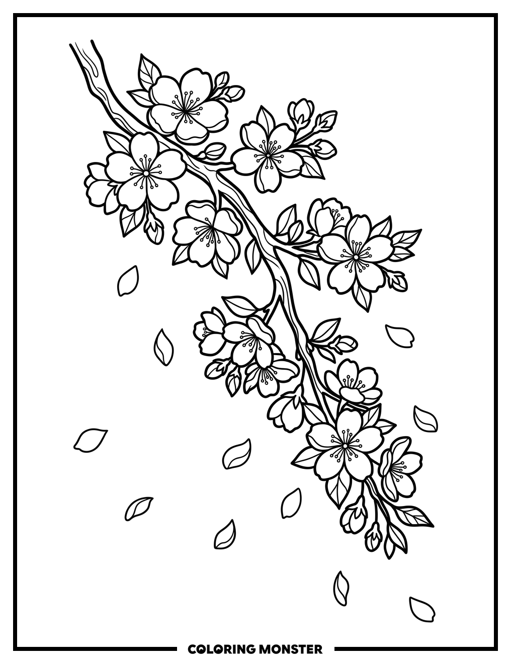 Cherry Blossom Branch Coloring Page