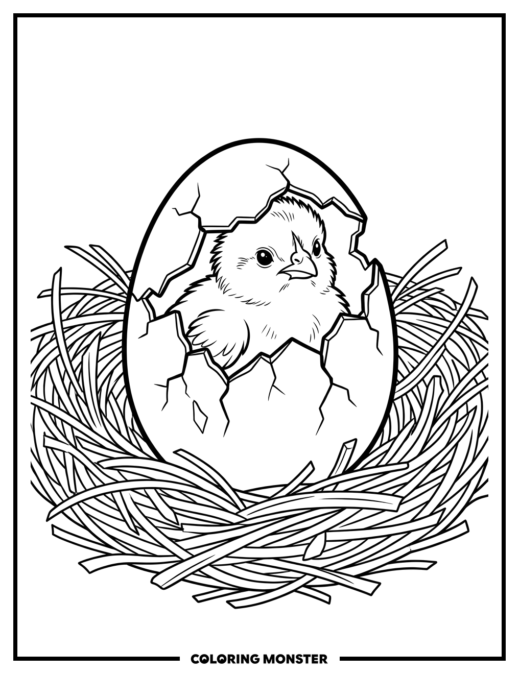 Chick Hatches From Egg Coloring Page