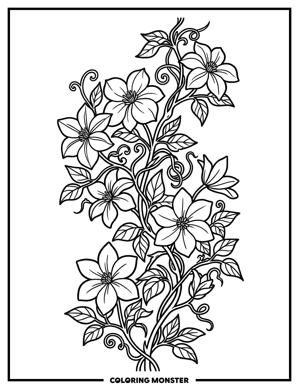 Clematis Flowers Blooming Coloring Page