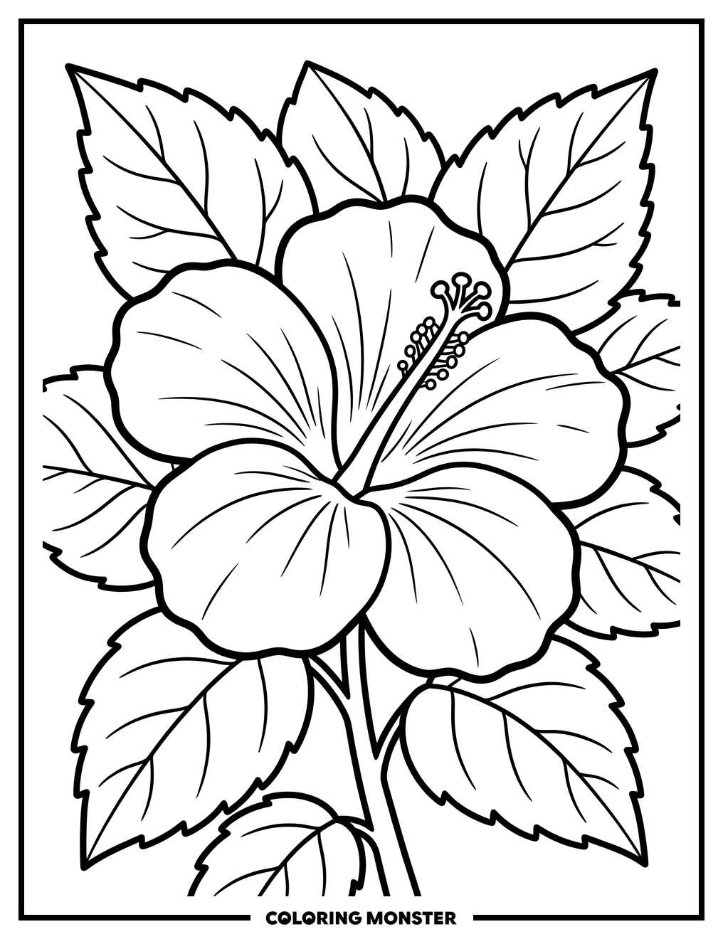 Close-up Hibiscus Flower Coloring Page