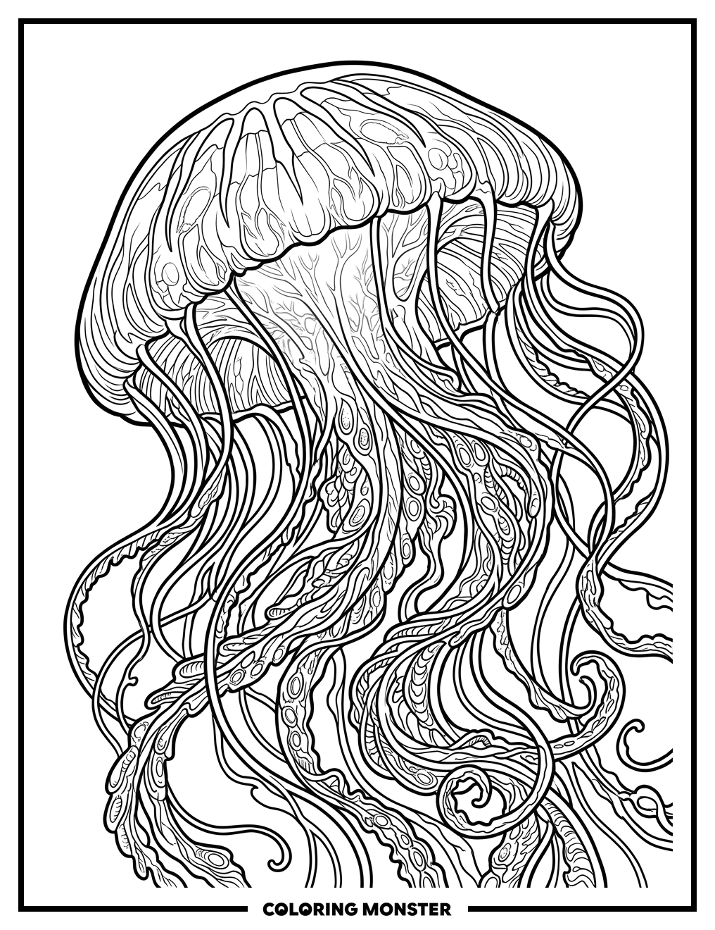 Close-Up Jellyfish Portrait Coloring Page