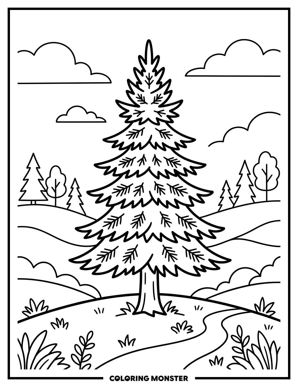Colorado Blue Spruce Tree Coloring Page