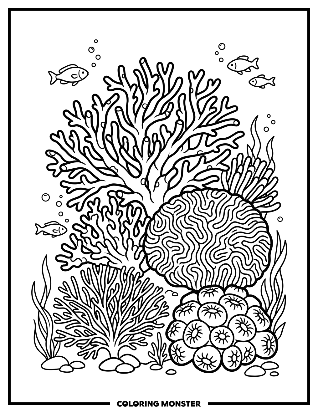 Coral Reef Wonders Coloring Page