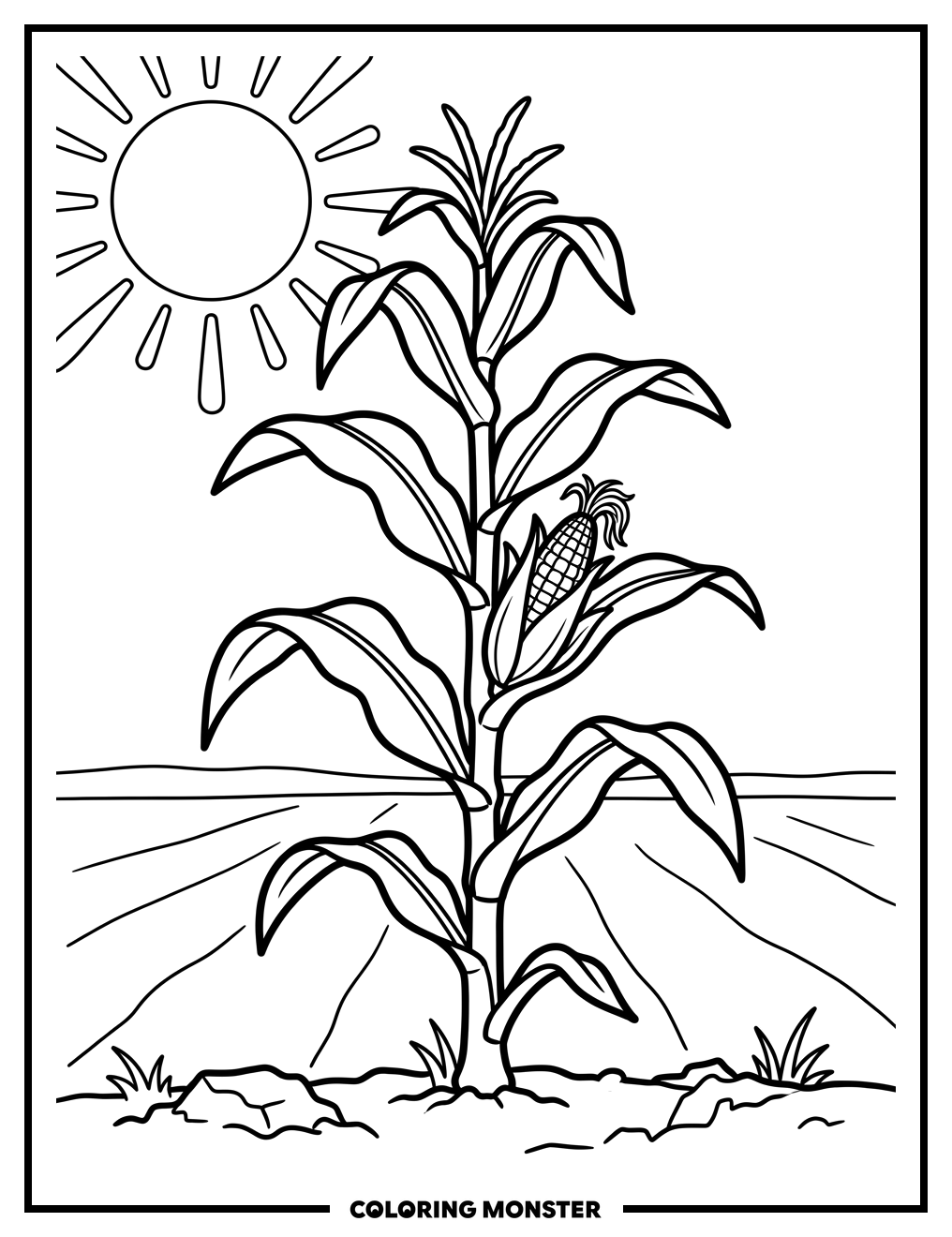 Corn Stalk in Field Coloring Page