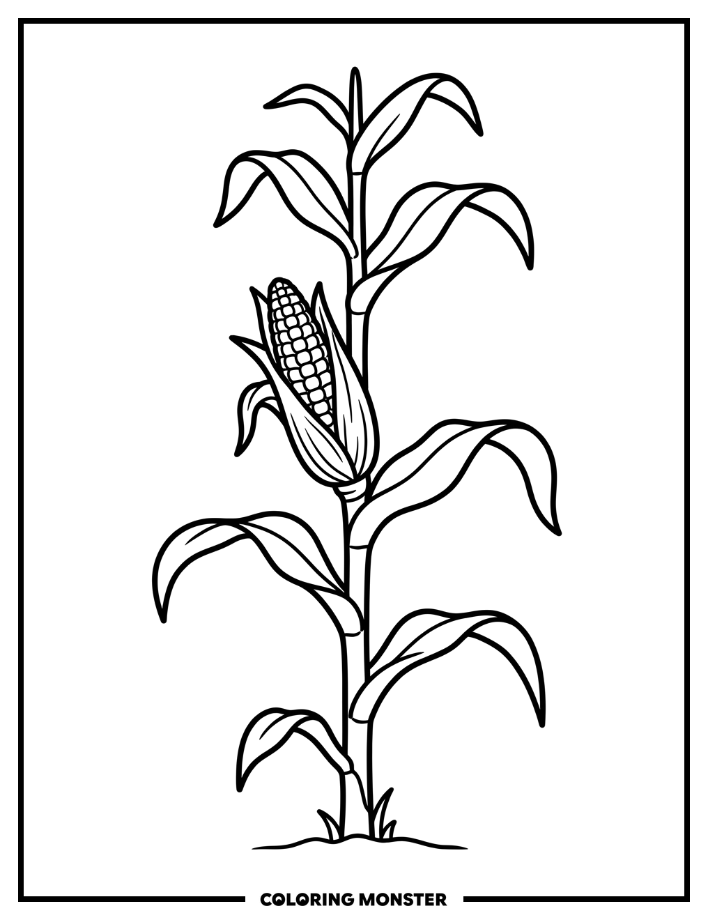 Corn Stalk With Leaves Coloring Page