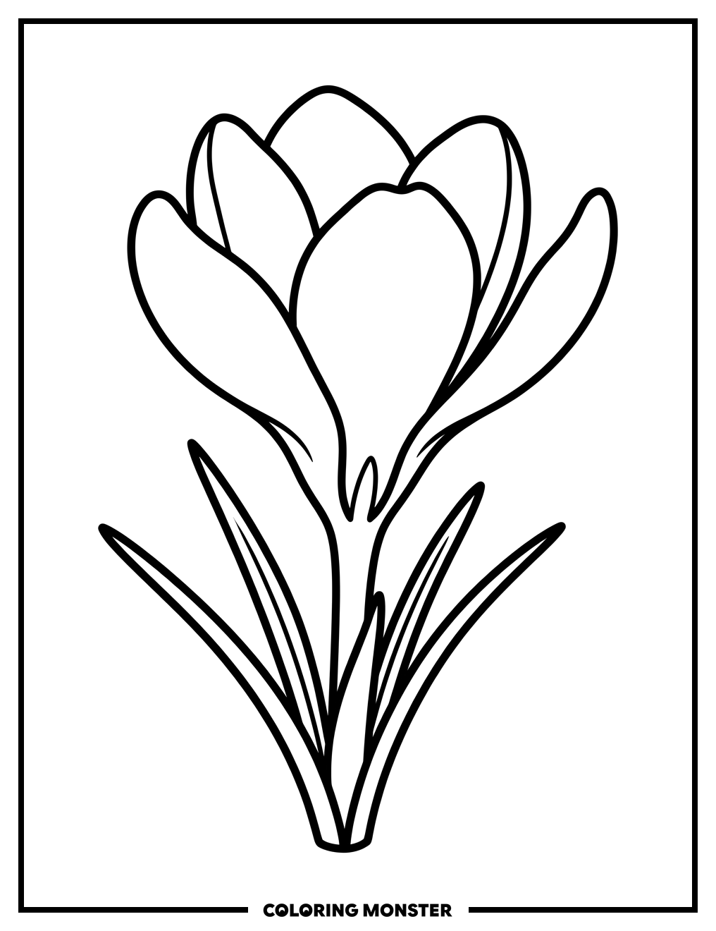 Crocus Flower Unfurling Coloring Page