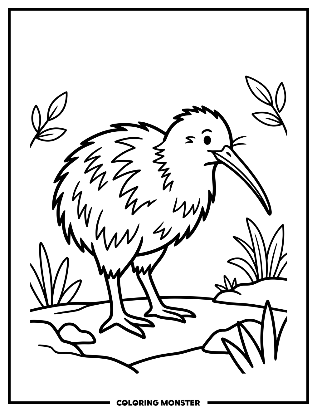 Curious Kiwi Bird Coloring Page