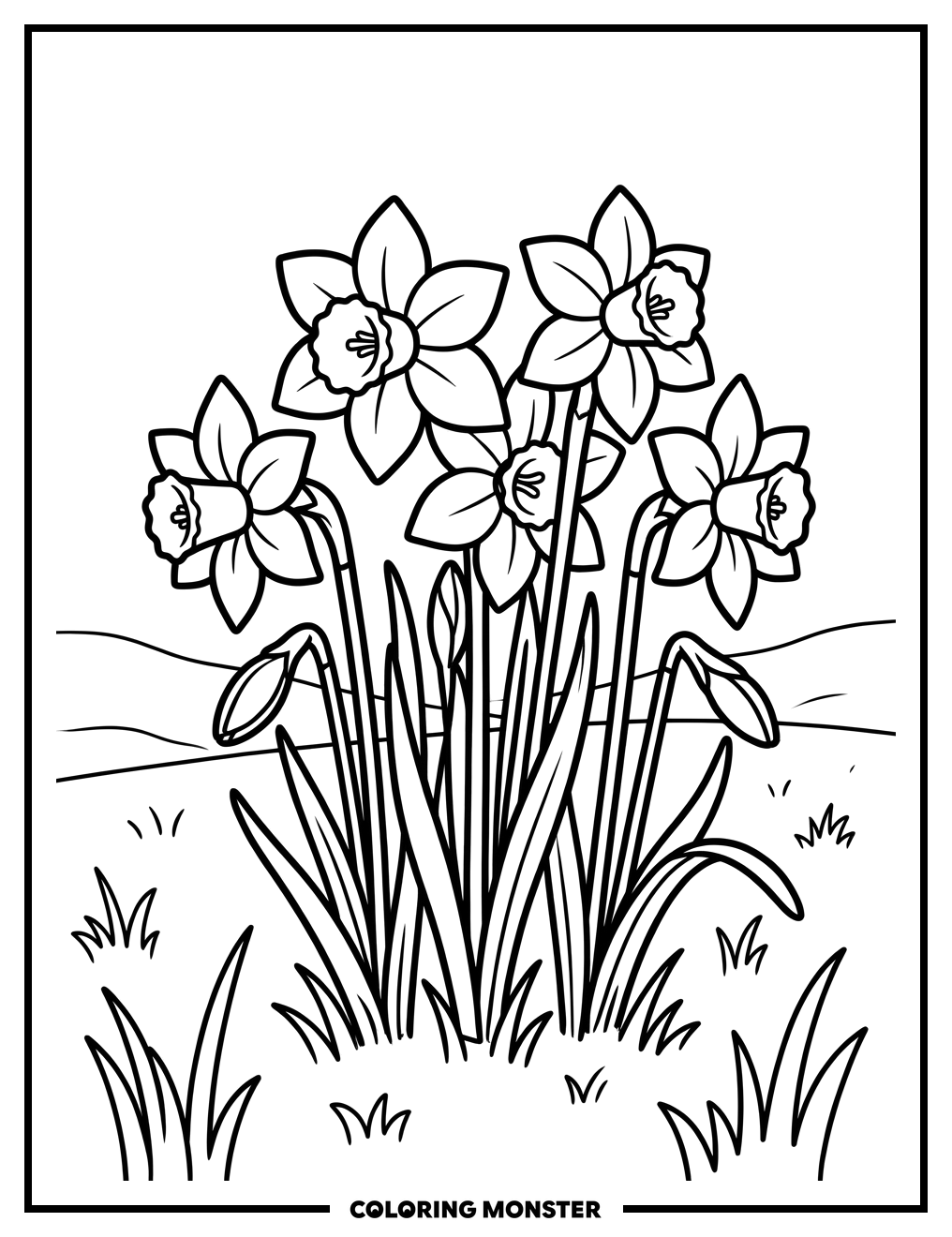 Daffodils in a Field Coloring Page