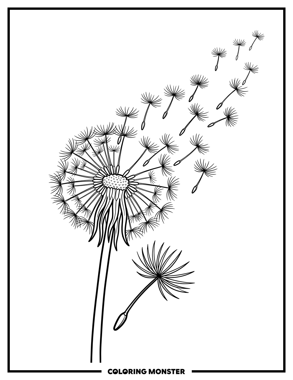 Dandelion Puff Seeds Blowing Coloring Page
