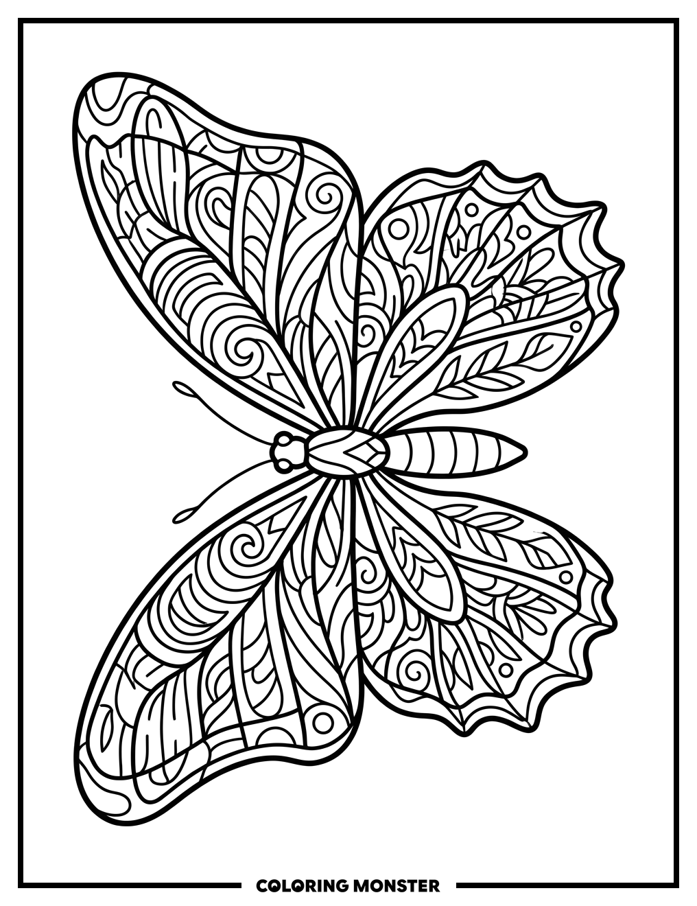 Detailed Butterfly Top-Down View Coloring Page