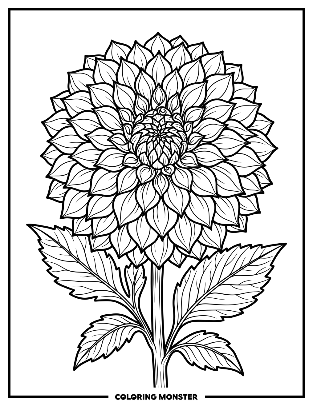 Detailed Dahlia Flower Close-Up Coloring Page